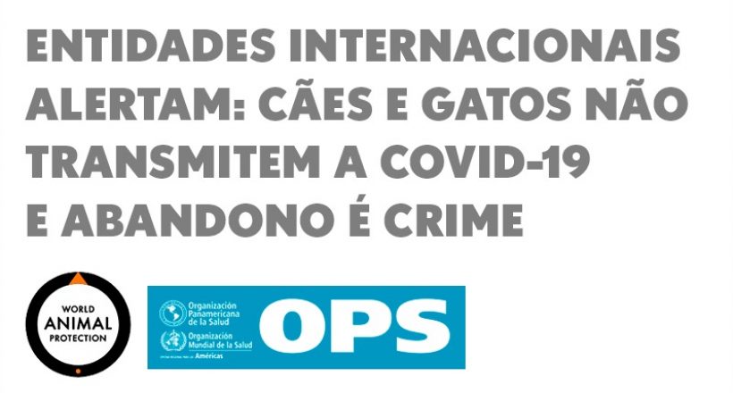 Entidades internacionais alertam: cães e gatos não transmitem a covid-19 e abandono é crime