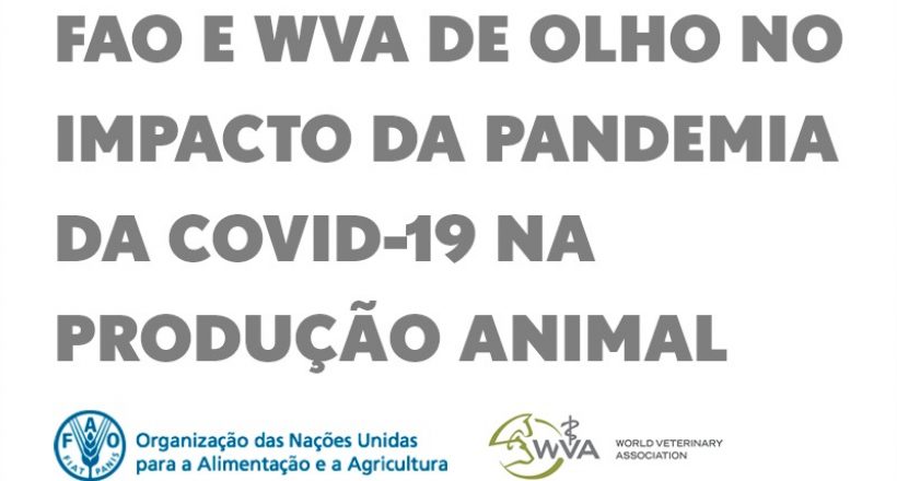FAO e WVA de olho no impacto da pandemia da covid-19 na produção animal