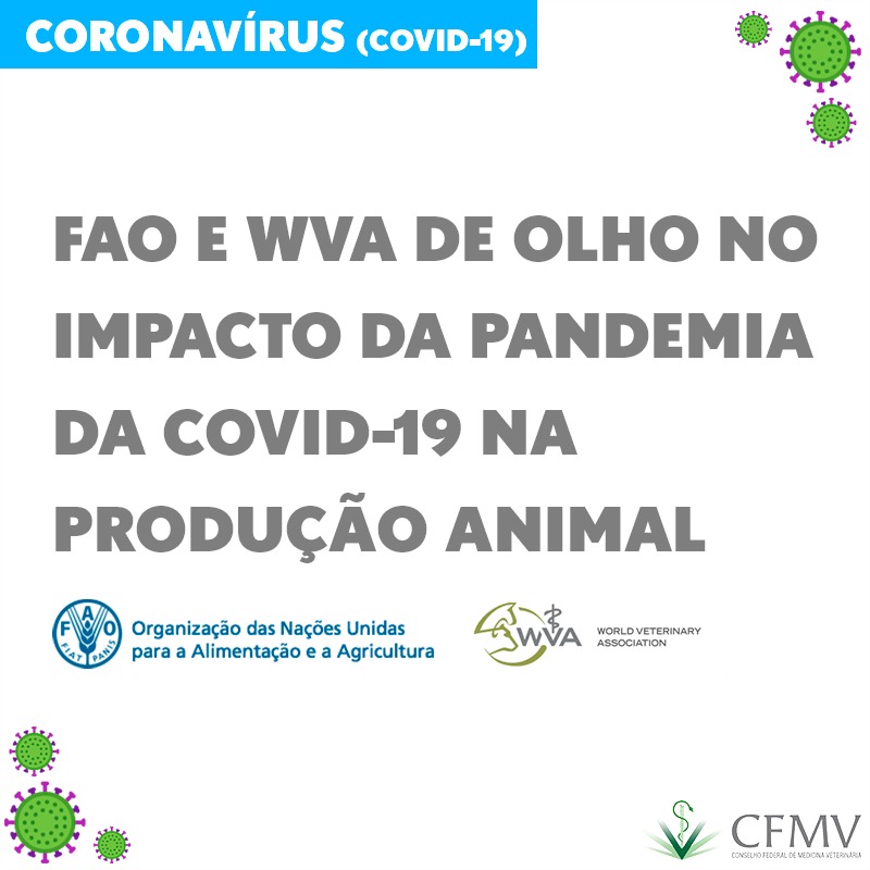 FAO e WVA de olho no impacto da pandemia da covid-19 na produção animal