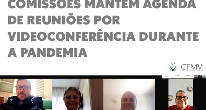 Comissões mantêm agenda de reuniões por videoconferência durante a pandemia
