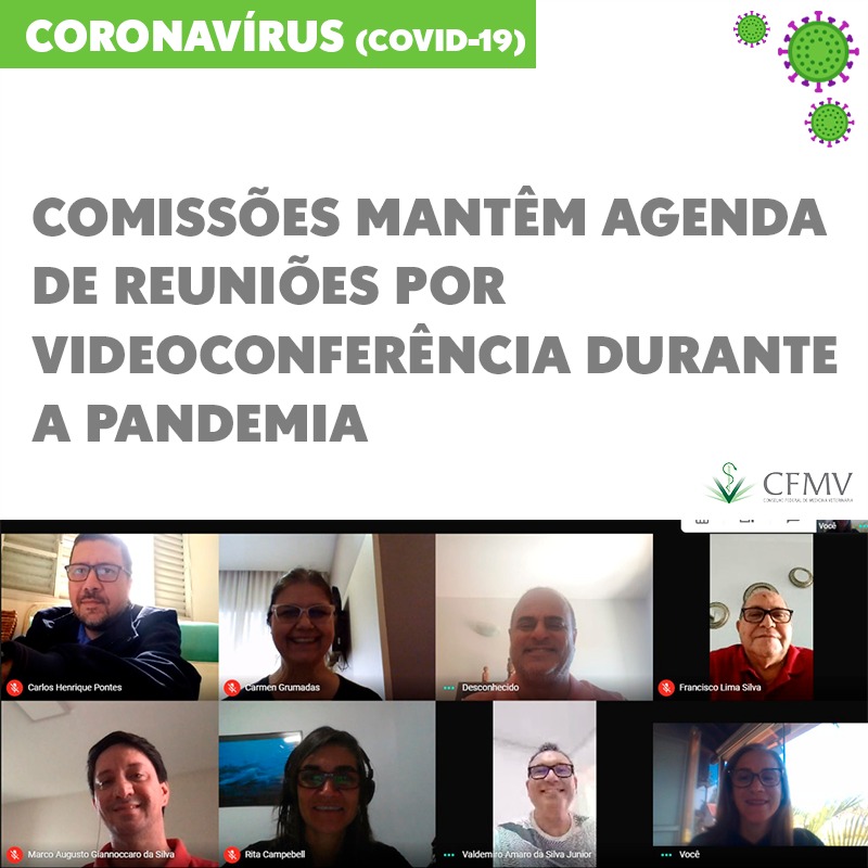 Comissões mantêm agenda de reuniões por videoconferência durante a pandemia
