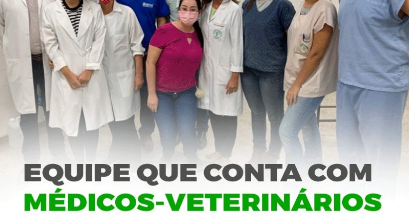 Equipe que conta com médicos-veterinários de Marília desenvolve respirador para hospitais