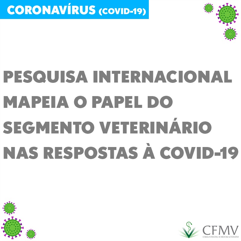 Pesquisa internacional mapeia o papel do segmento veterinário nas respostas à covid-19