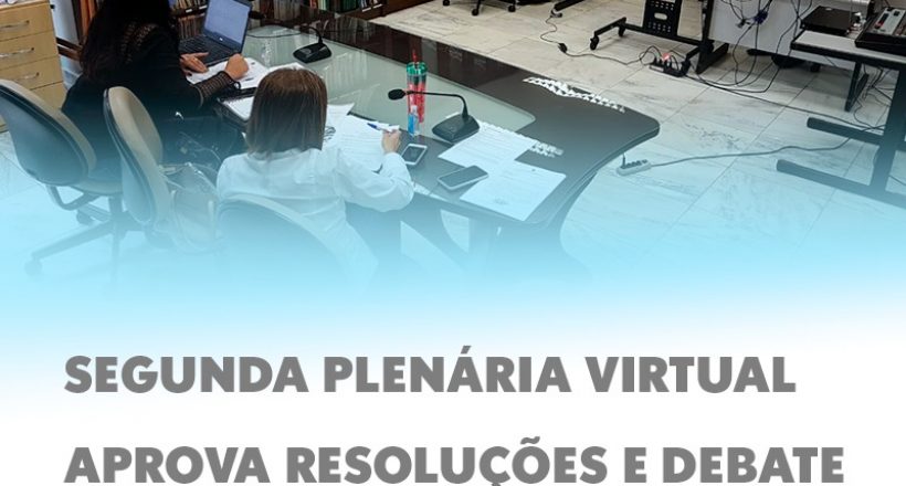 Segunda plenária virtual aprova resoluções e debate assuntos emergenciais