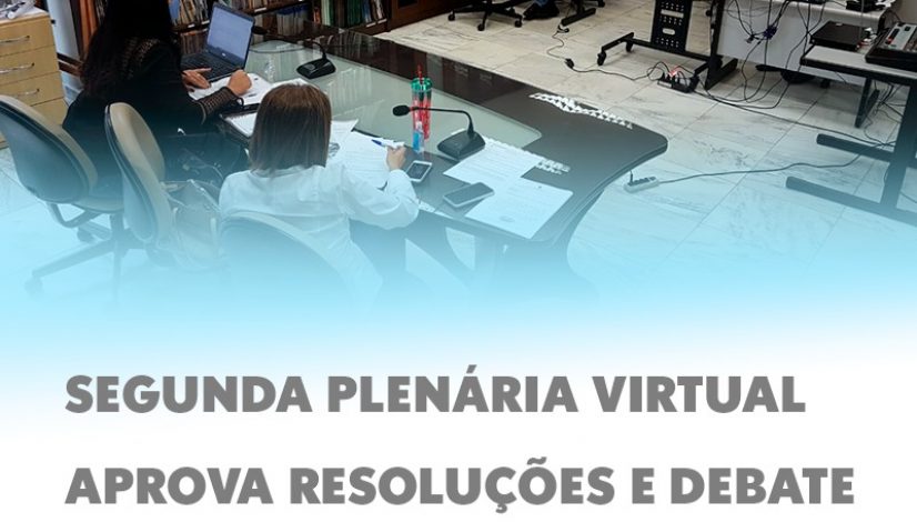 Segunda plenária virtual aprova resoluções e debate assuntos emergenciais