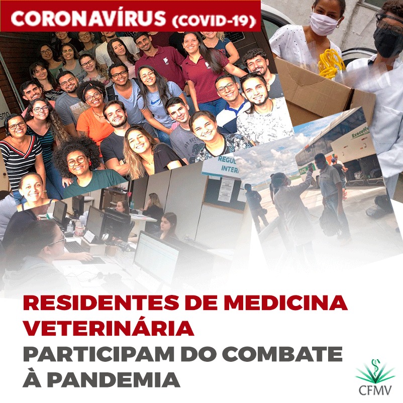 Residentes de Medicina Veterinária participam do combate à pandemia