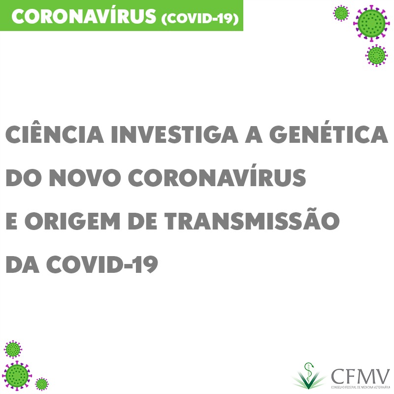 Ciência investiga a genética do novo coronavírus e origem de transmissão da covid-19