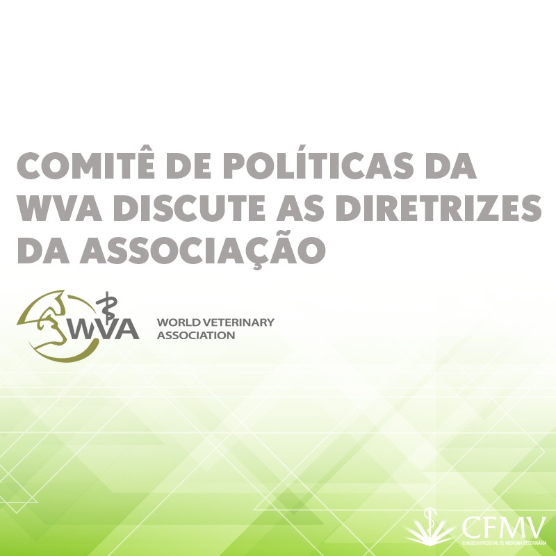 Comitê de Políticas da WVA discute diretrizes da associação