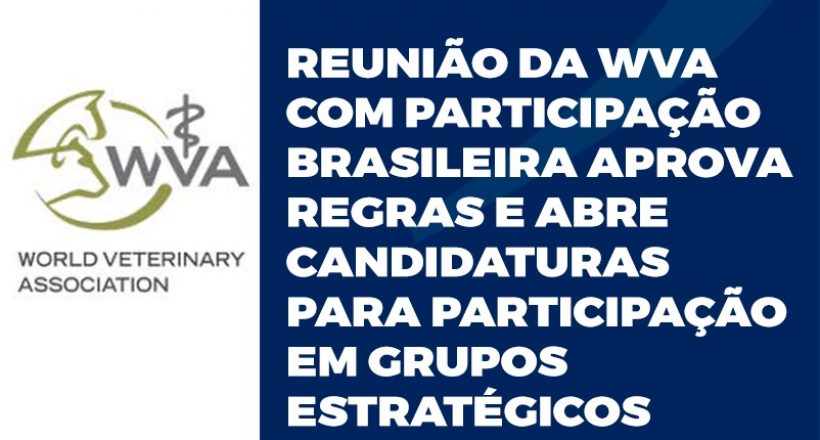 Reunião da WVA com participação brasileira aprova regras e abre candidaturas para participação em grupos estratégicos