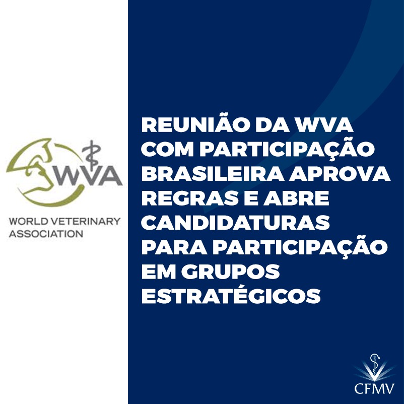 Reunião da WVA com participação brasileira aprova regras e abre candidaturas para participação em grupos estratégicos