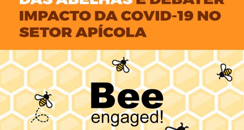 Evento on-line vai celebrar Dia Mundial das Abelhas e debater impacto da covid-19 no setor apícola