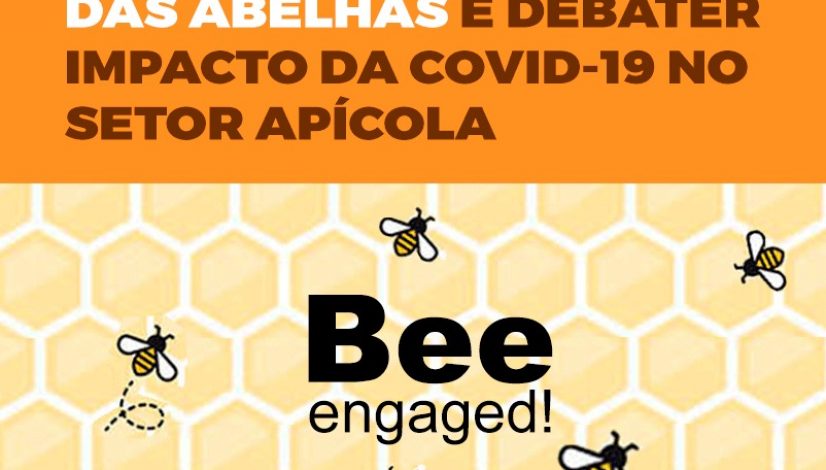 Evento on-line vai celebrar Dia Mundial das Abelhas e debater impacto da covid-19 no setor apícola