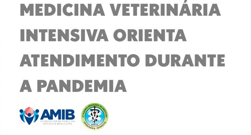 Medicina Veterinária Intensiva orienta atendimento durante a pandemia