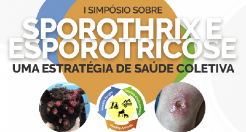 CRMV-PR realiza Simpósio on-line para discutir aspectos da esporotricose