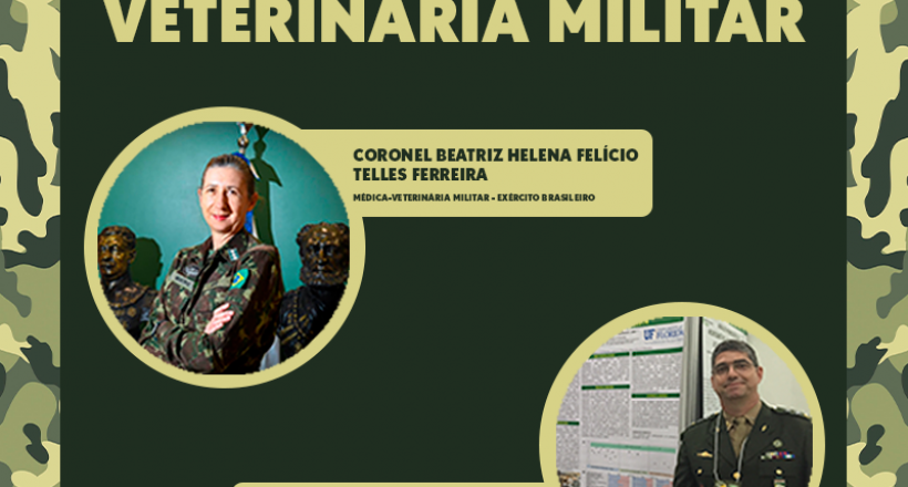 dia-mv-militar