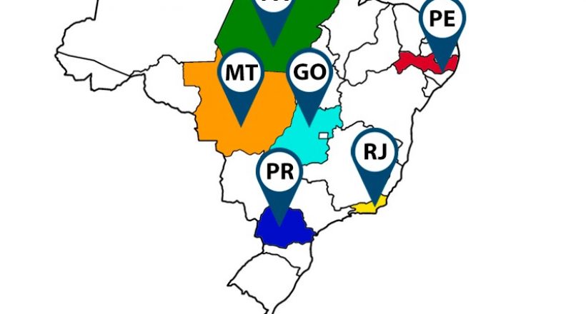 Eleições nos CRMVs do PR, MT, GO, PE, PA e RJ