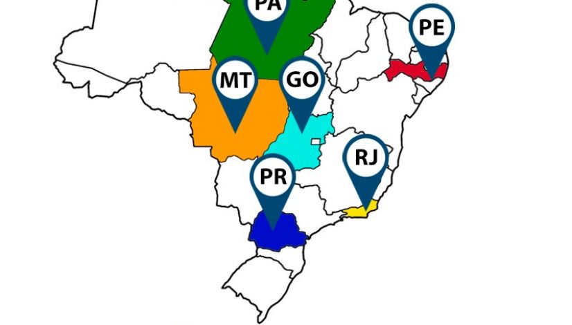 Eleições nos CRMVs do PR, MT, GO, PE, PA e RJ