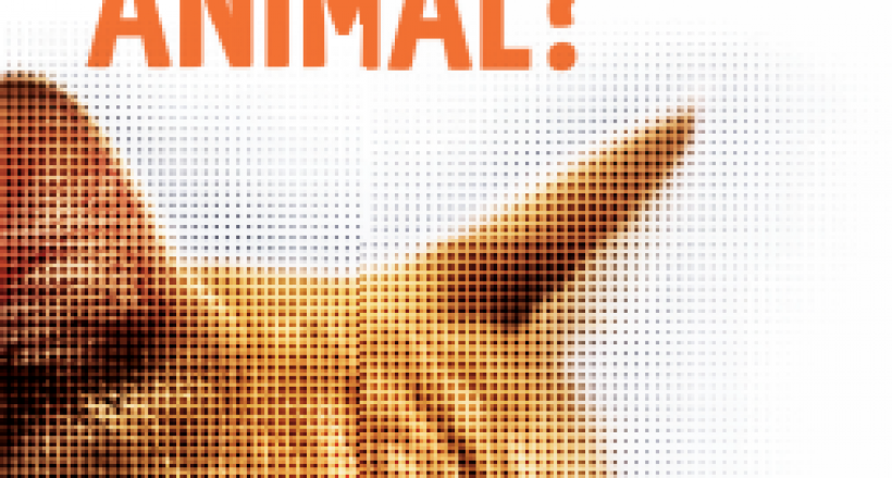 Folder Bem-estar animal