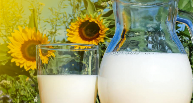 Dia Mundial do Leite celebra alimento mais consumido no mundo
