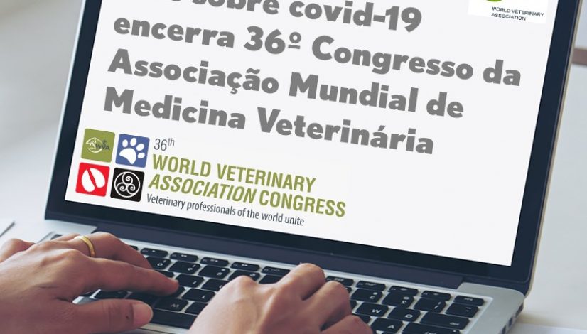 Live sobre covid-19 encerra 36º Congresso da Associação Mundial de Medicina Veterinária