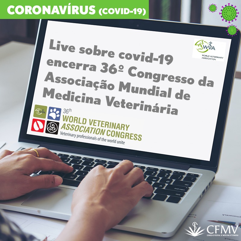 Live sobre covid-19 encerra 36º Congresso da Associação Mundial de Medicina Veterinária