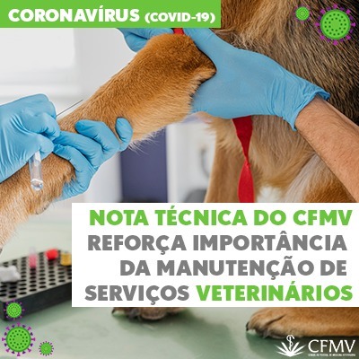 Nota Técnica do CFMV reforça importância da manutenção de serviços veterinários
