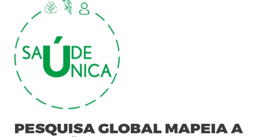 Pesquisa global mapeia a atuação da rede de saúde única contra a covid-19