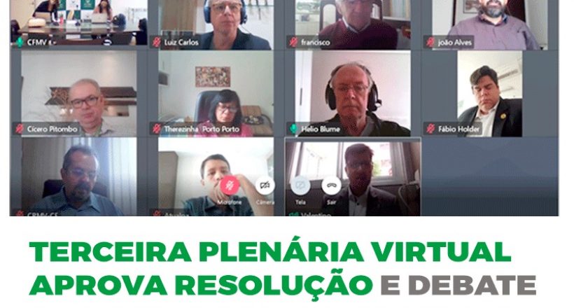 Terceira Plenária virtual aprova resolução e debate assuntos administrativos