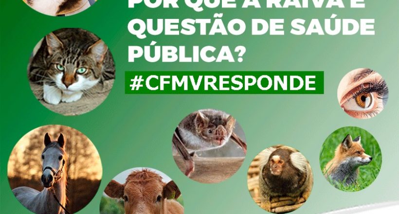 Por que a raiva é questão de Saúde Pública ?