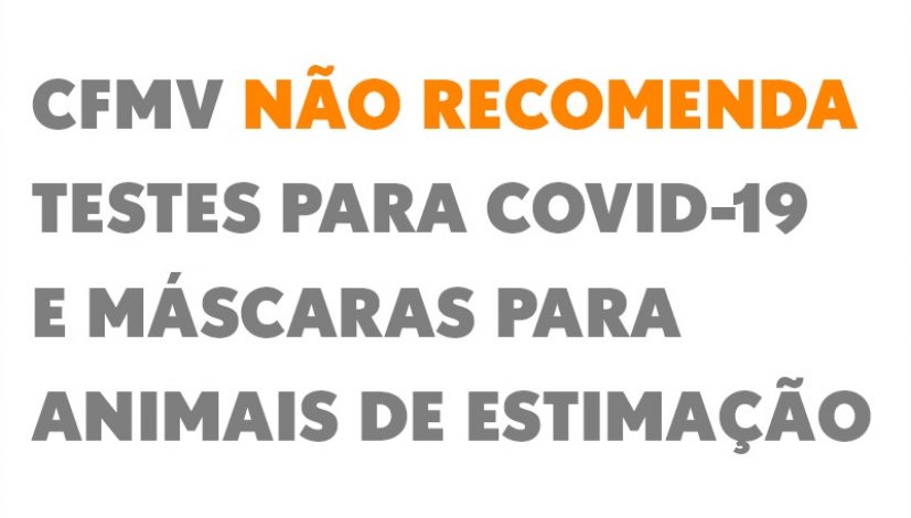 CFMV não recomenda venda de testes para Covid-19 e máscaras para animais de estimação