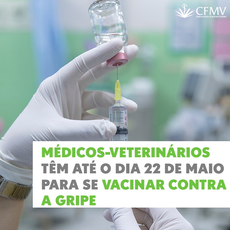 Médicos-veterinários têm até o dia 22 de maio para se vacinar contra a gripe