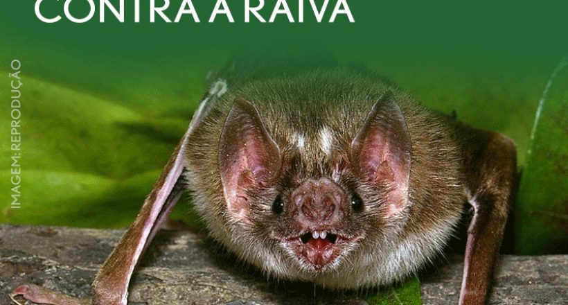 28 de setembro – Dia Mundial de Combate à Raiva