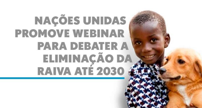 Nações Unidas promove webinar para debater a eliminação da raiva até 2030