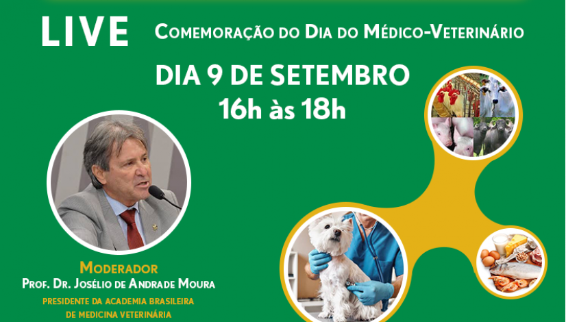 Abramvet promove debate on-line no dia 9