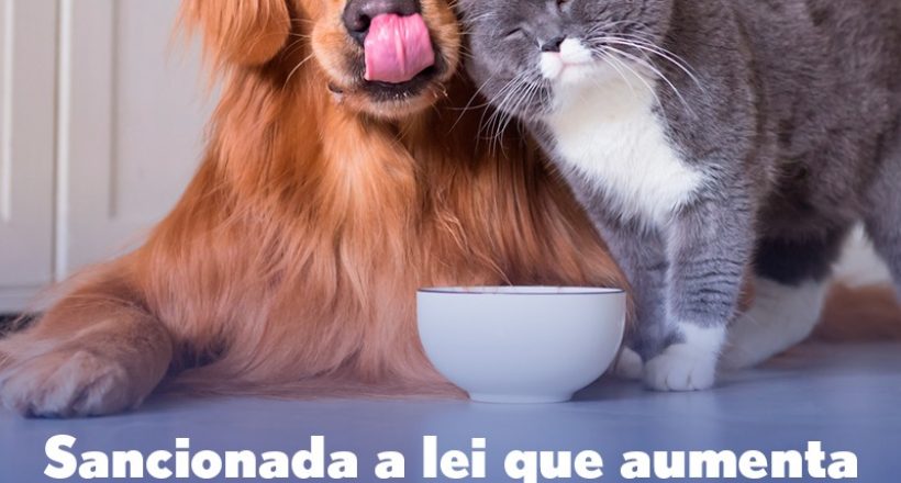Sancionada a lei que aumenta pena para quem maltratar cães e gatos