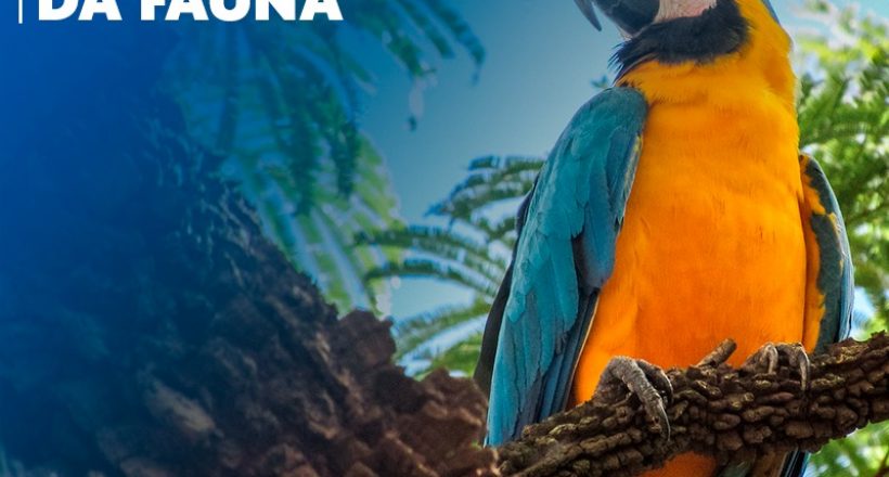 Dia da Defesa da Fauna lembra necessidade de combater desmatamento e tráfico de animais