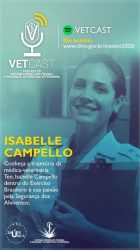 Stories - Isabelle Campello