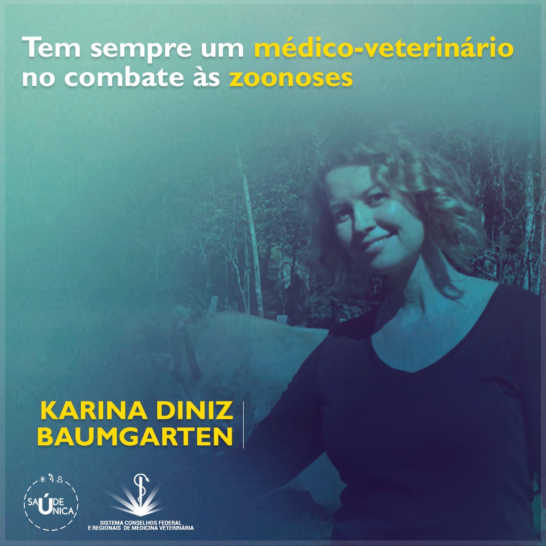 Post Karina Diniz Baumgarten