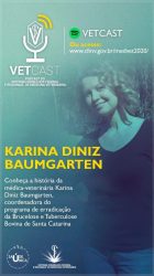 Stories Karina Diniz Baumgarten