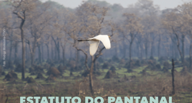 Estatuto do Pantanal proposto pelo Senado recebe colaboração do Sistema CFMV/CRMVs