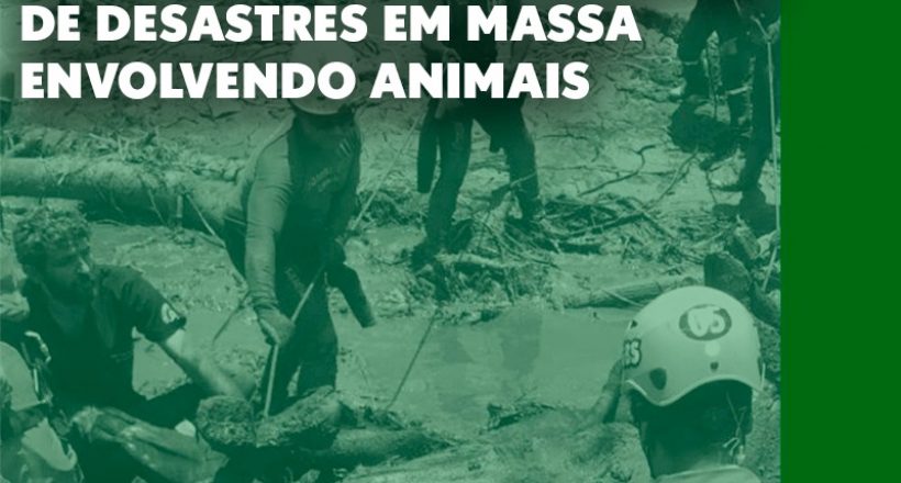 CFMV aprova Plano Nacional de Contingência de Desastres em Massa Envolvendo Animais