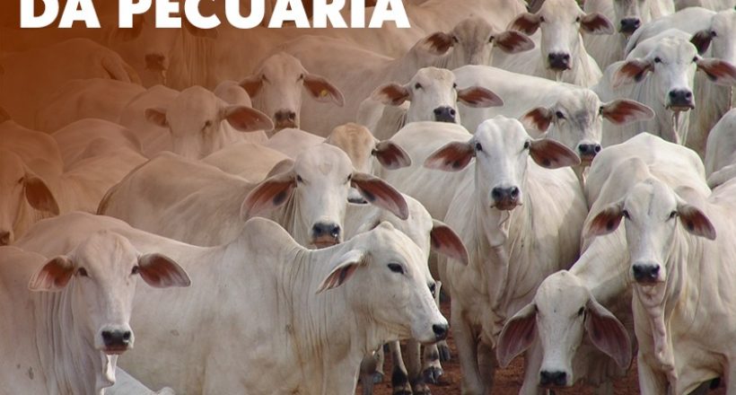 Dia Nacional da Pecuária