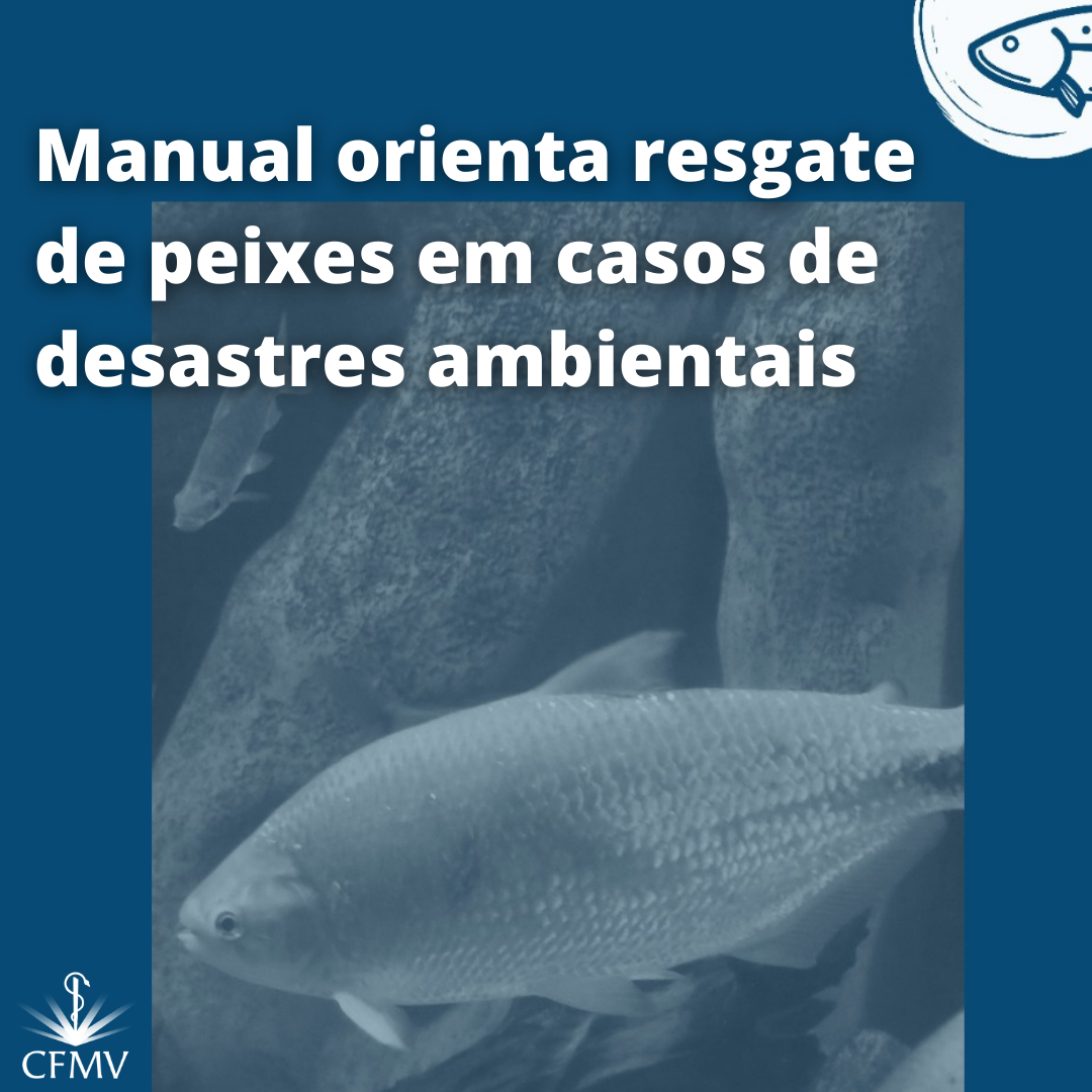 Manual orienta resgate de peixes em casos de desastres ambientais