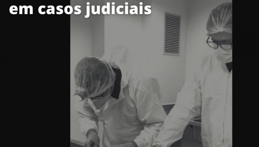 Manual de Perícias auxilia médico-veterinário em casos judiciais