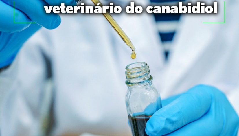 CFMV contribui para projeto de lei que possibilita o uso veterinário do canabidiol