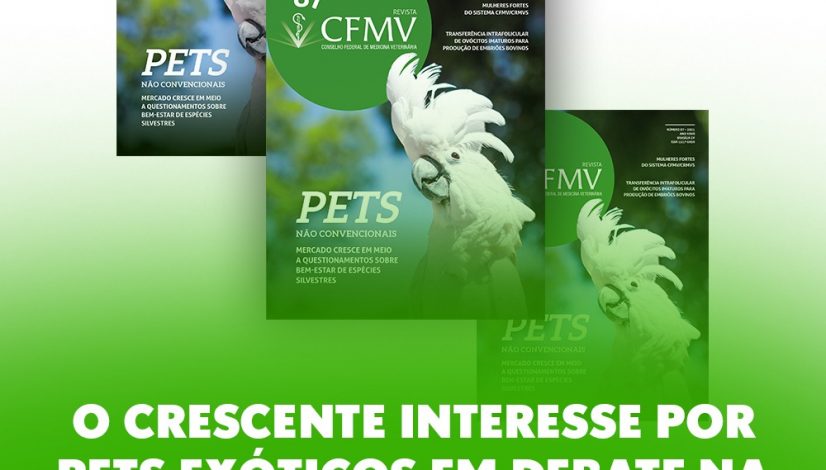 Pets não convencionais, a força das mulheres nos conselhos e muito mais. Confira na Revista CFMV 87