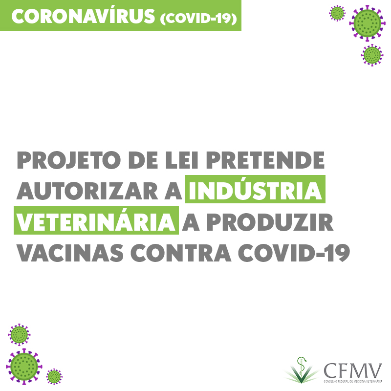 Projeto de lei pretende autorizar a indústria veterinária a produzir vacinas contra covid-19