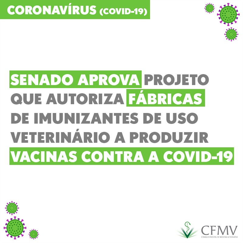 Senado aprova projeto que autoriza fábricas de imunizantes de uso veterinário a produzir vacinas contra a covid-19