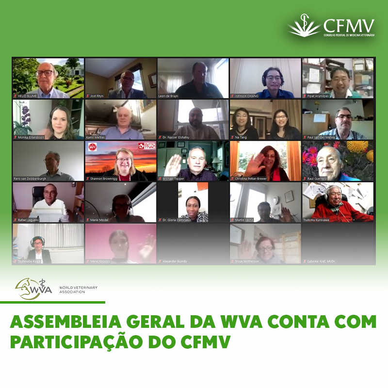 Assembleia geral da WVA conta com participação do CFMV