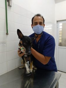 Leonardo Alabrín, residente de clínica de pequenos animais da UVV